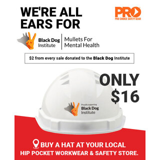 WORKWEAR, SAFETY & CORPORATE CLOTHING SPECIALISTS BLACK DOG V6 HARD HAT