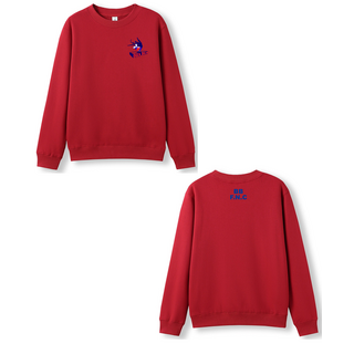 WORKWEAR, SAFETY & CORPORATE CLOTHING SPECIALISTS Kids Crew Neck Sloppy Joe (Inc Embroidery Left Chest/Back)