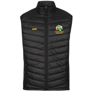 WORKWEAR, SAFETY & CORPORATE CLOTHING SPECIALISTS Mens Snowy Puffer Vest