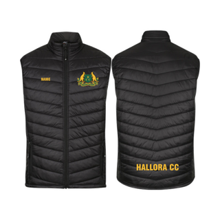 WORKWEAR, SAFETY & CORPORATE CLOTHING SPECIALISTS Mens Snowy Puffer Vest