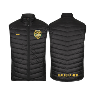 WORKWEAR, SAFETY & CORPORATE CLOTHING SPECIALISTS Mens Snowy Puffer Vest