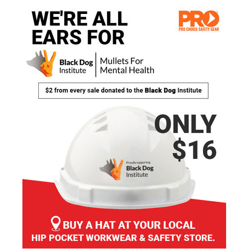 WORKWEAR, SAFETY & CORPORATE CLOTHING SPECIALISTS - BLACK DOG V6 HARD HAT