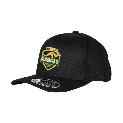 WORKWEAR, SAFETY & CORPORATE CLOTHING SPECIALISTS 110A - A Frame Cap