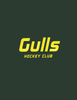 Gulls Hockey Club